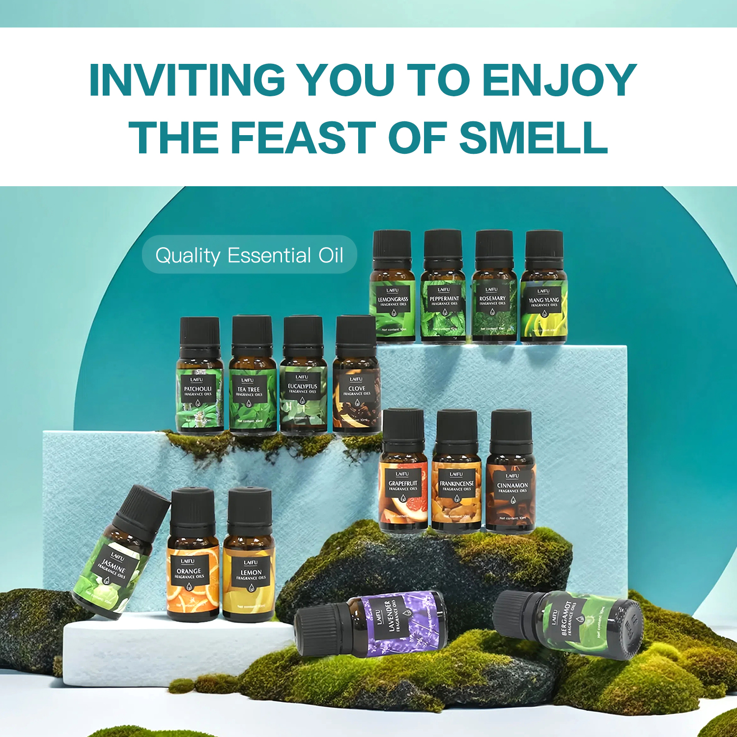 16x10ml Essential Oils Set for - Candle Making And Perfume 리뷰 및 가격
