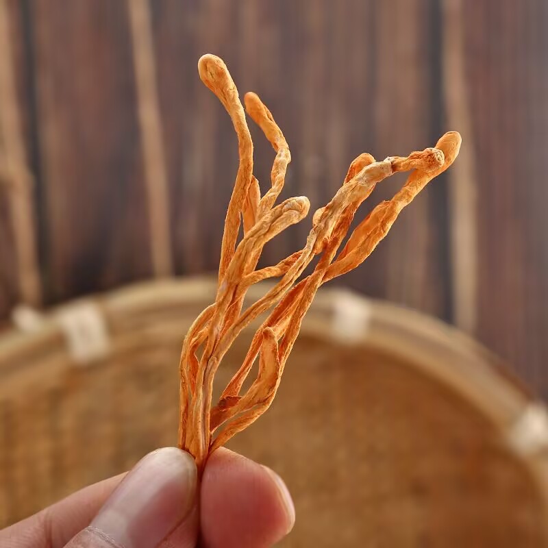 Natural Dried Cordyceps Flower - Candle Making And Perfume 리뷰 및 가격