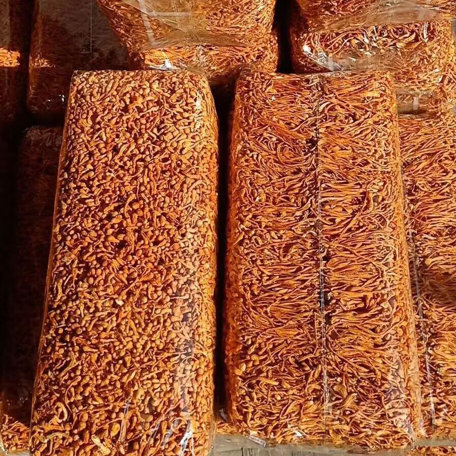 Natural Dried Cordyceps Flower - Candle Making And Perfume 리뷰 및 가격