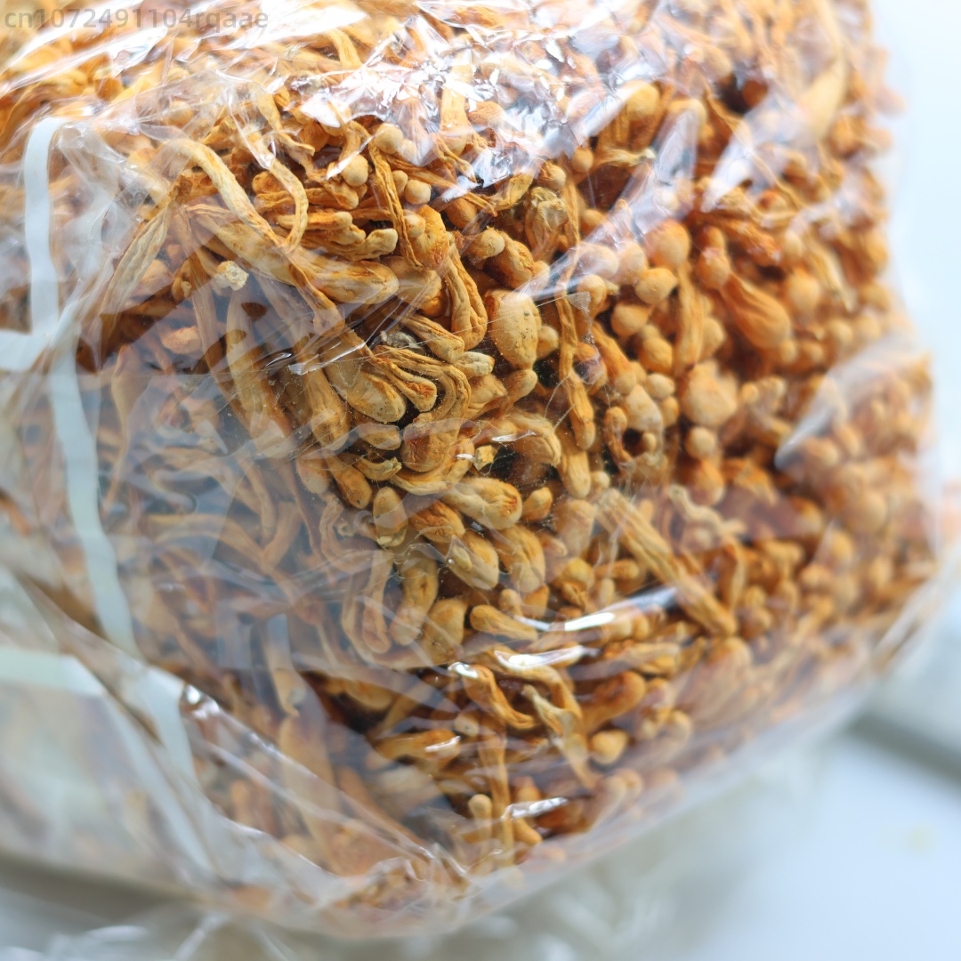 250g/500g Premium Natural Cord - Candle Making And Perfume 리뷰 및 가격