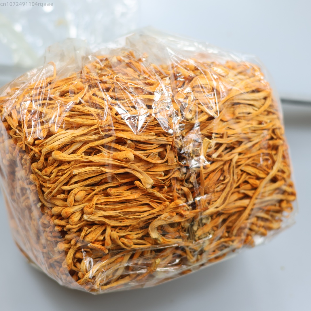 250g/500g Premium Natural Cord - Candle Making And Perfume 리뷰 및 가격